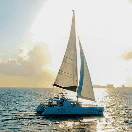 Catamaran Sailing image