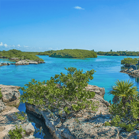 Cenotes & Paradise Lagoon image